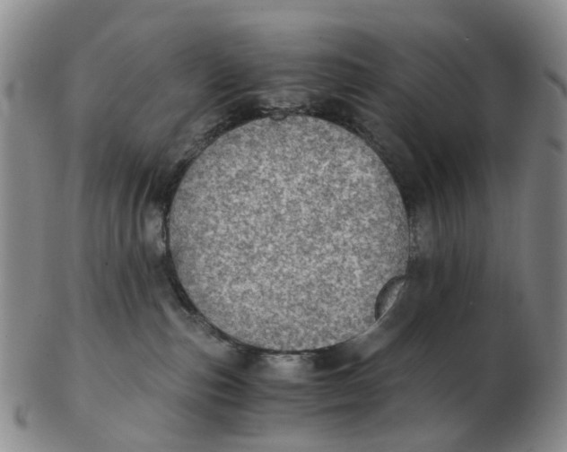 X0000103160187200809121846