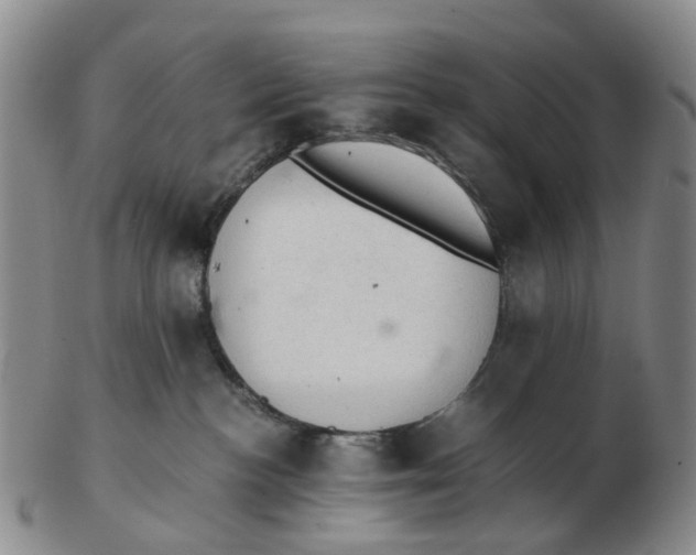 X0000103160188200809121846