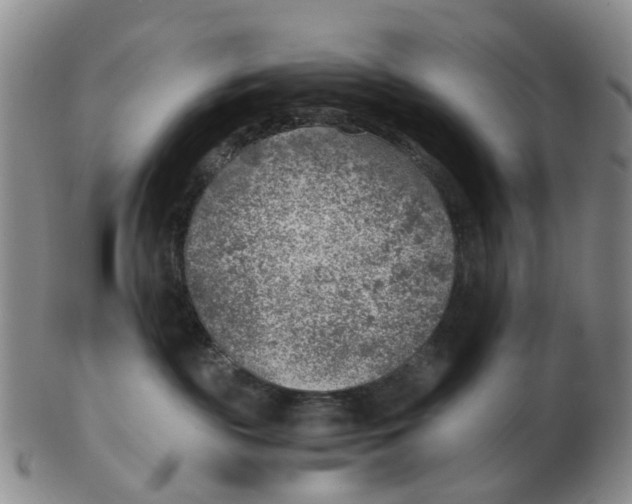 X0000103160189200809121846