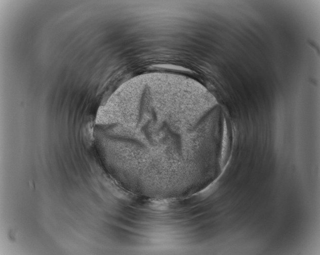 X0000103160190200809121846