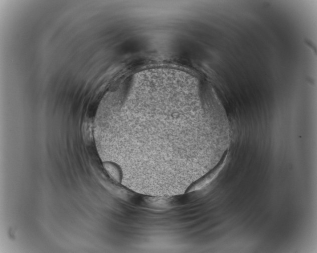 X0000103160191200809121846