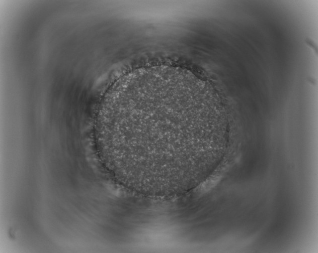 X0000103160192200809121846