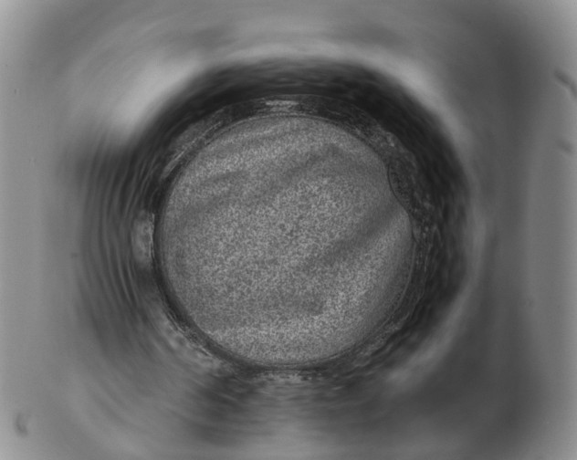 X0000103160194200809121845