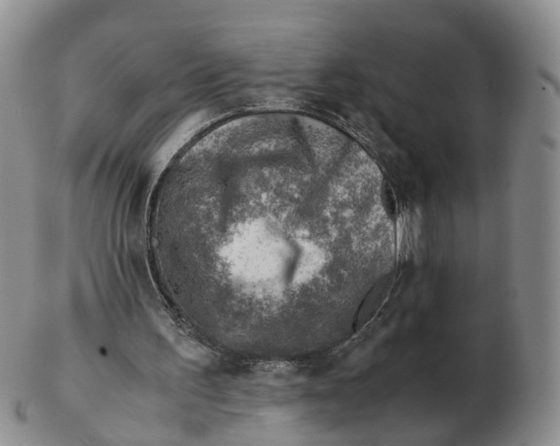 X0000103160195200809121845