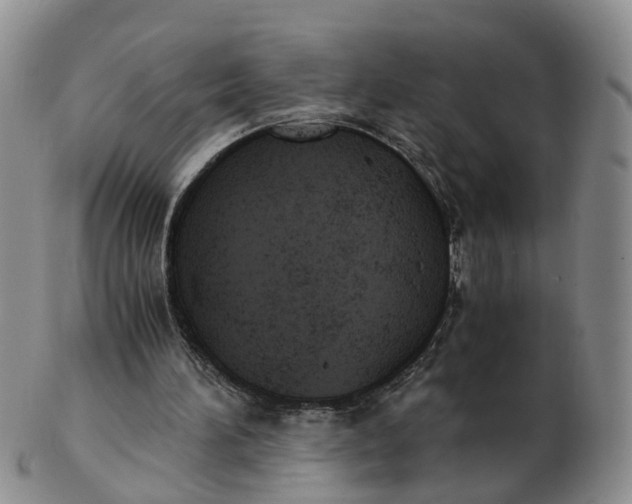 X0000103160196200809121845