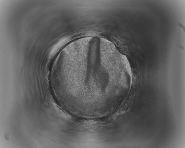 X0000103160197200809121845