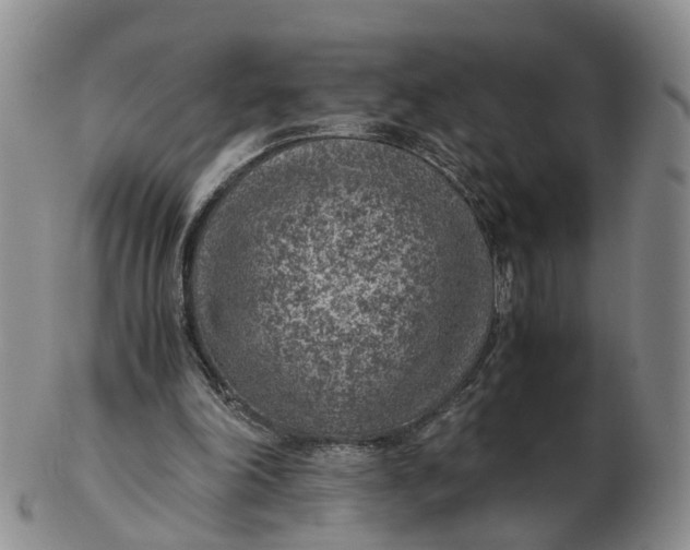 X0000103160198200809121845