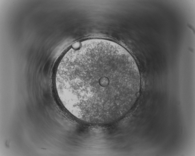 X0000103160199200809121845