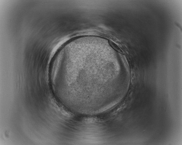 X0000103160200200809121845