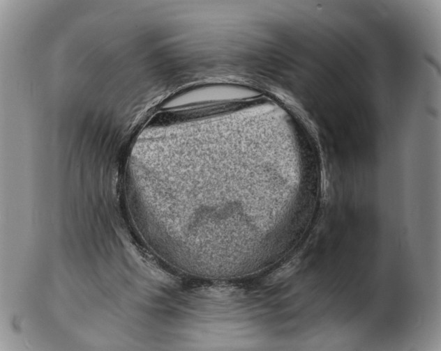 X0000103160201200809121845