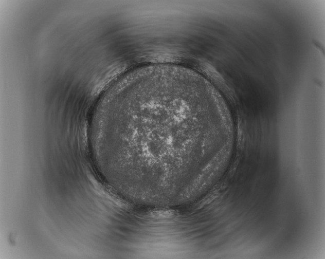 X0000103160202200809121845