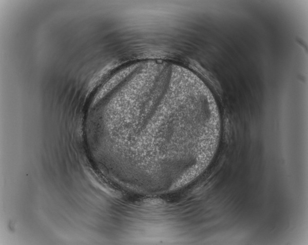 X0000103160203200809121845