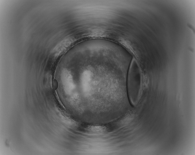 X0000103160205200809121845