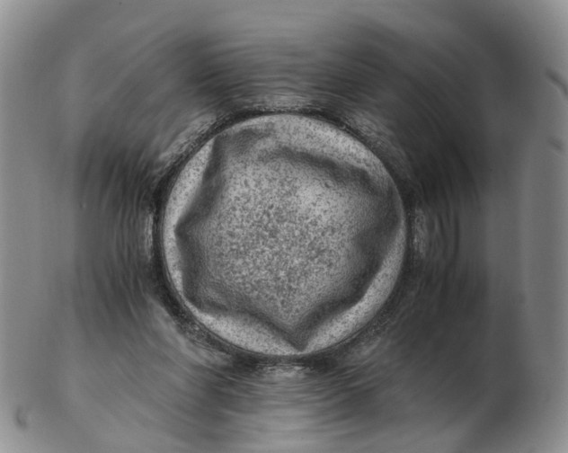 X0000103160206200809121845