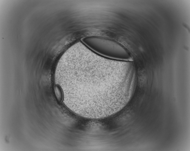 X0000103160207200809121845