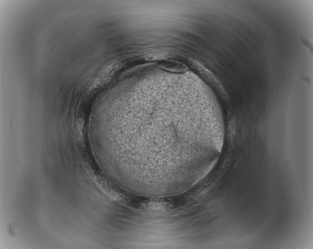 X0000103160209200809121845