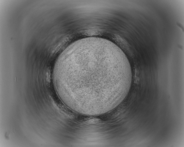 X0000103160210200809121845