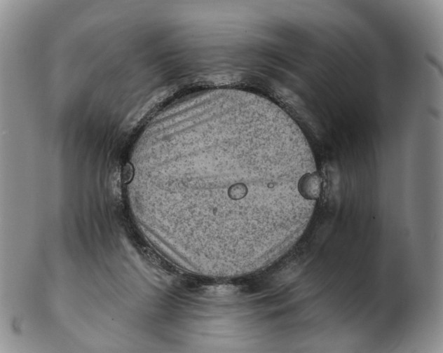 X0000103160212200809121845