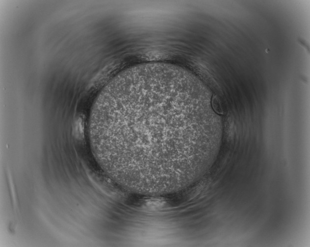 X0000103160214200809121845