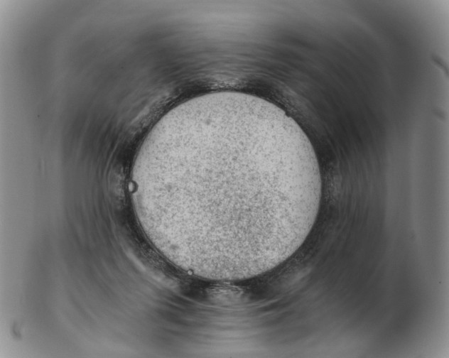 X0000103160215200809121845