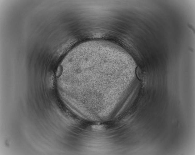 X0000103160216200809121845