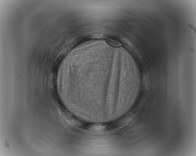 X0000103160217200809121845