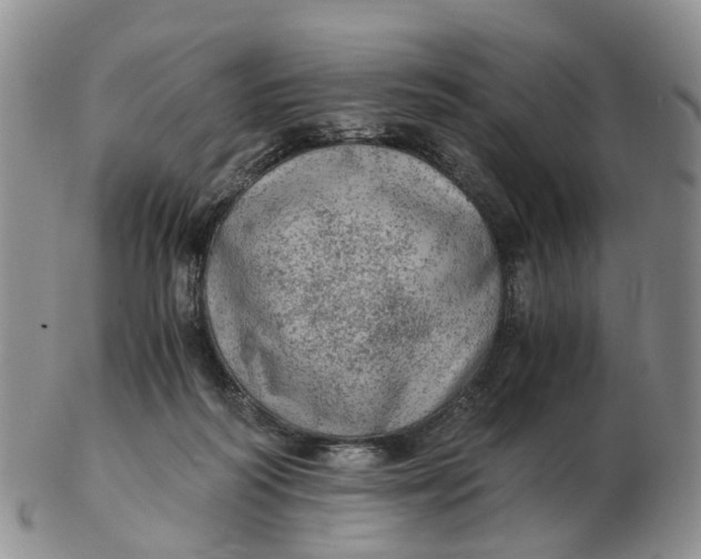 X0000103160218200809121845