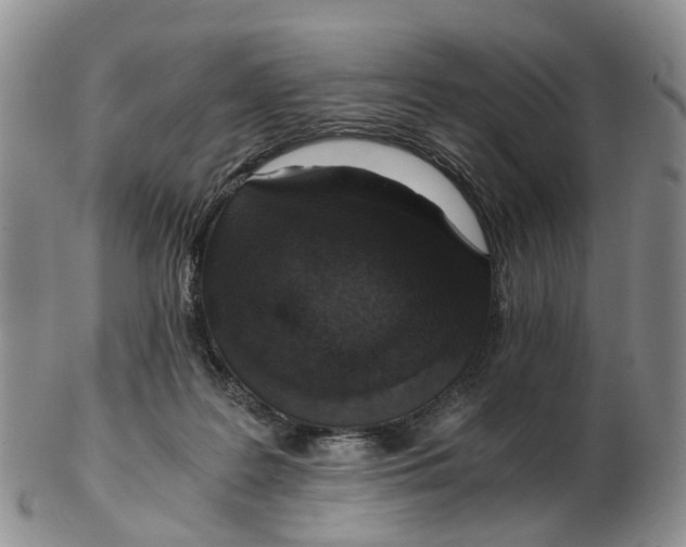 X0000103160219200809121845