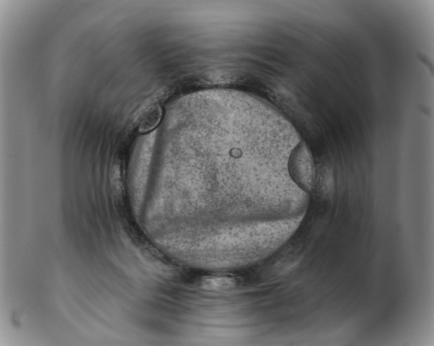 X0000103160220200809121845