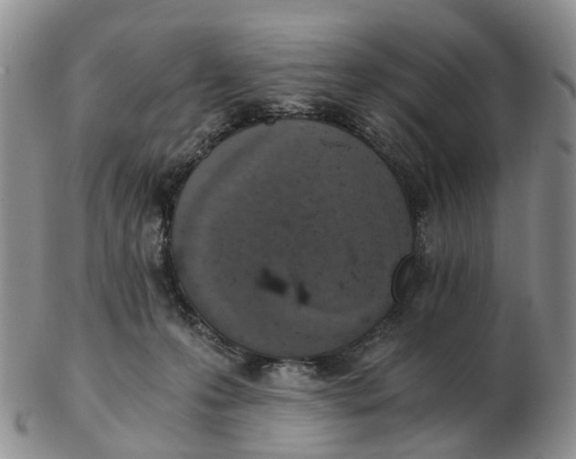 X0000103160223200809121845