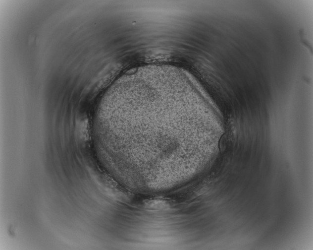 X0000103160224200809121845