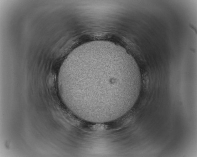 X0000103160225200809121845