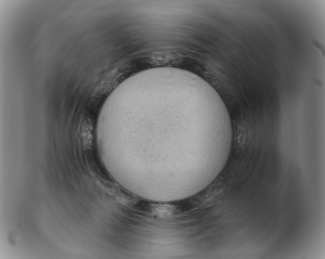 X0000103160226200809121845