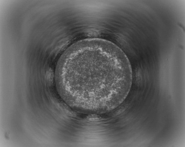 X0000103160228200809121845