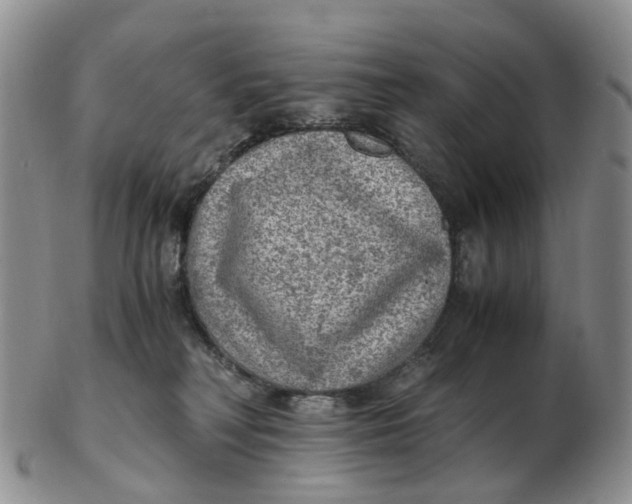 X0000103160230200809121845