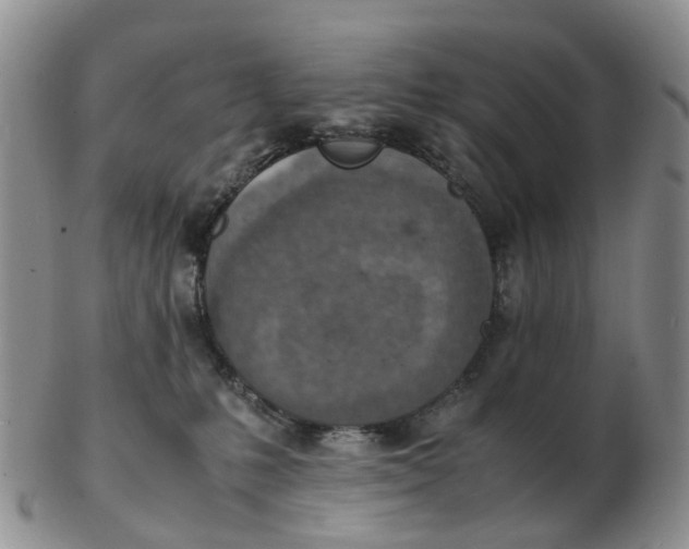 X0000103160231200809121845