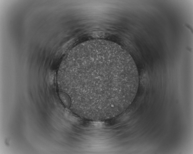 X0000103160233200809121845