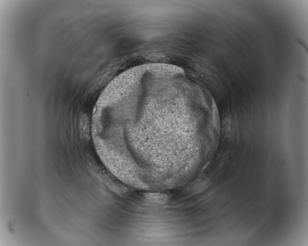 X0000103160234200809121845