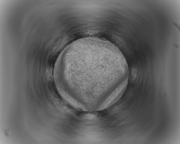 X0000103160236200809121845