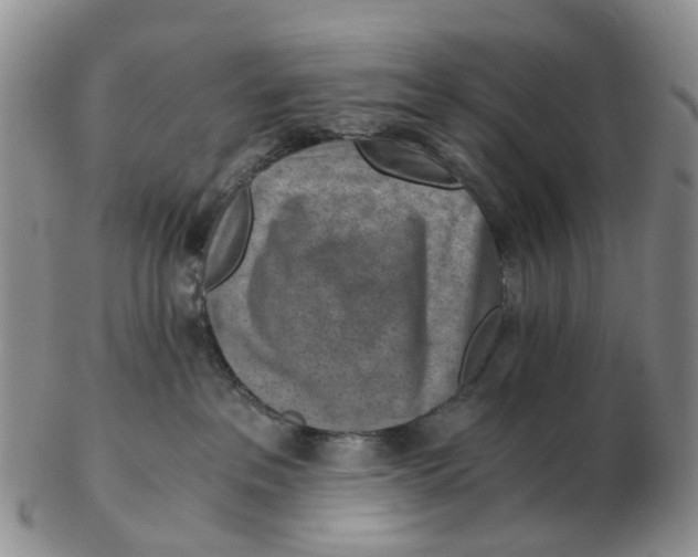 X0000103160237200809121845