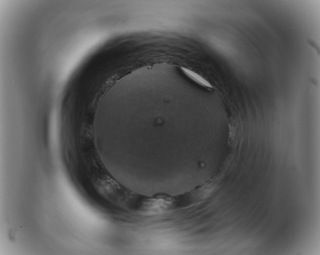 X0000103160239200809121845