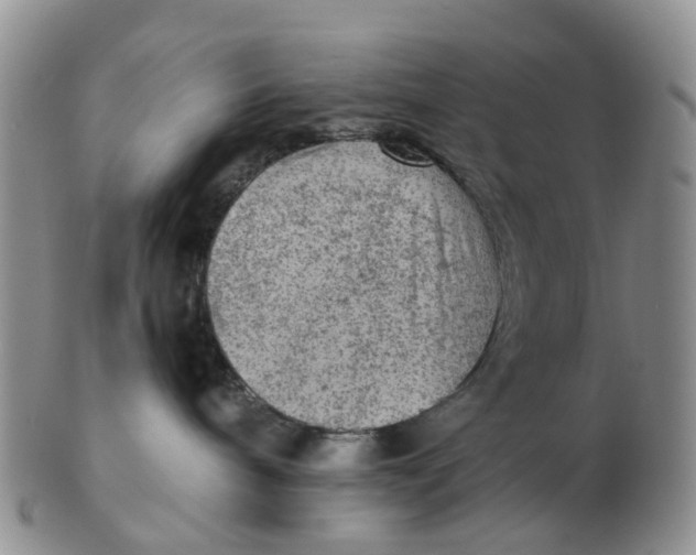 X0000103160240200809121845