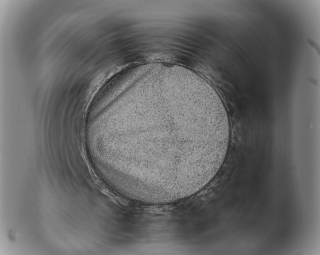 X0000103160241200809121844