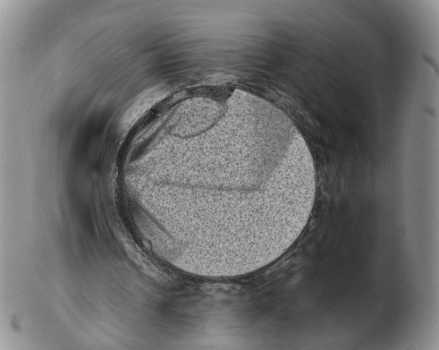 X0000103160242200809121844