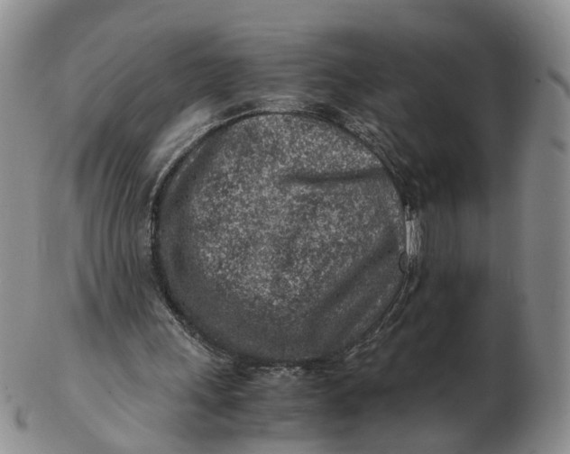 X0000103160243200809121844