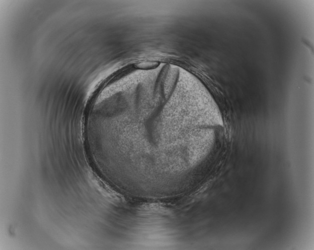 X0000103160244200809121844