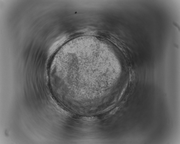 X0000103160245200809121844