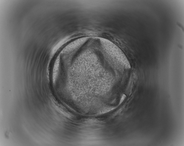 X0000103160246200809121844