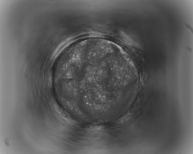 X0000103160247200809121844