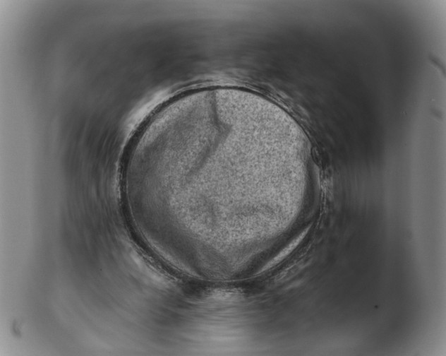 X0000103160248200809121844